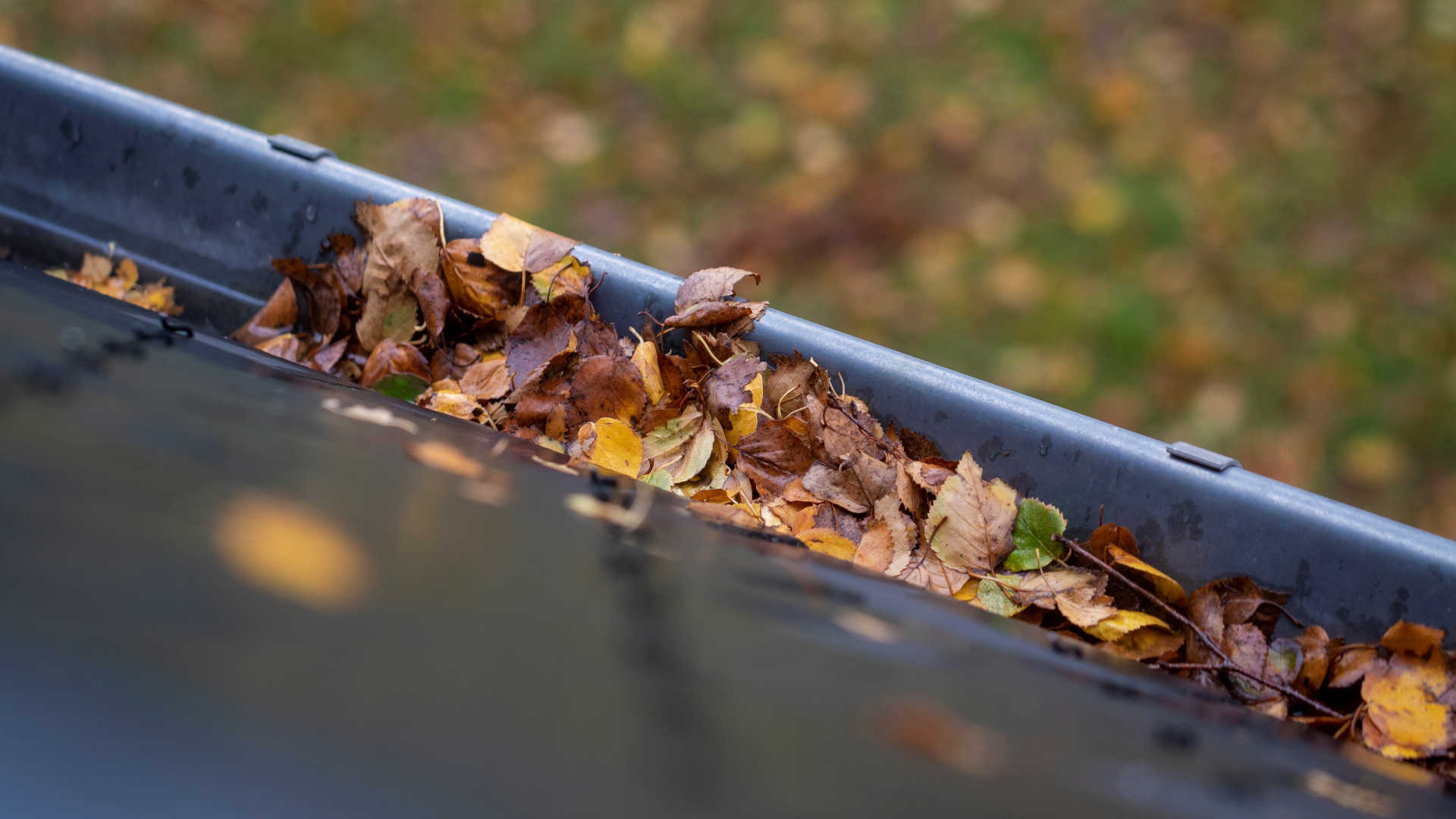 Best Gutters - Half-round gutter with leaves in it