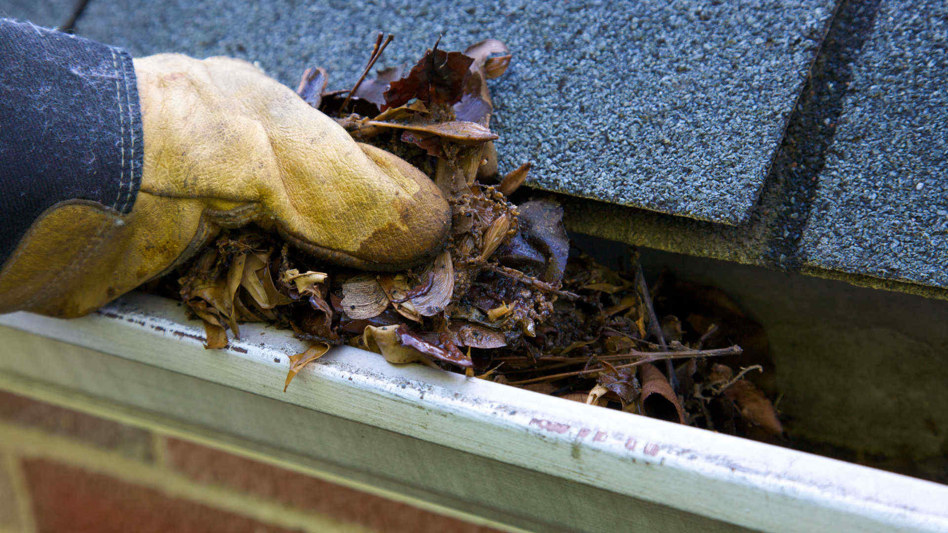 How to clean gutters - Person pulling leaves out of a gutter