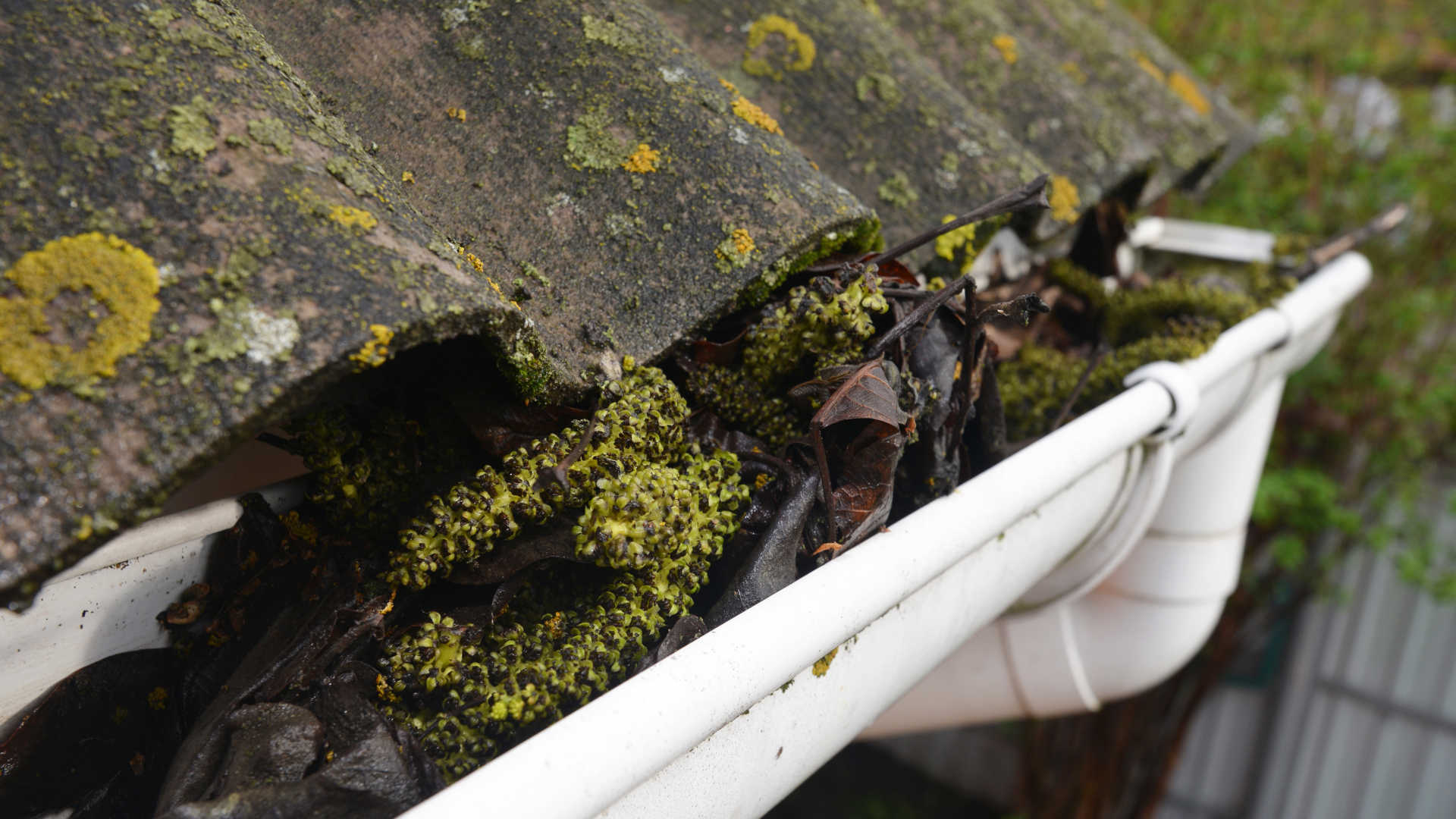When should you replace gutters – Dirty and damaged gutter